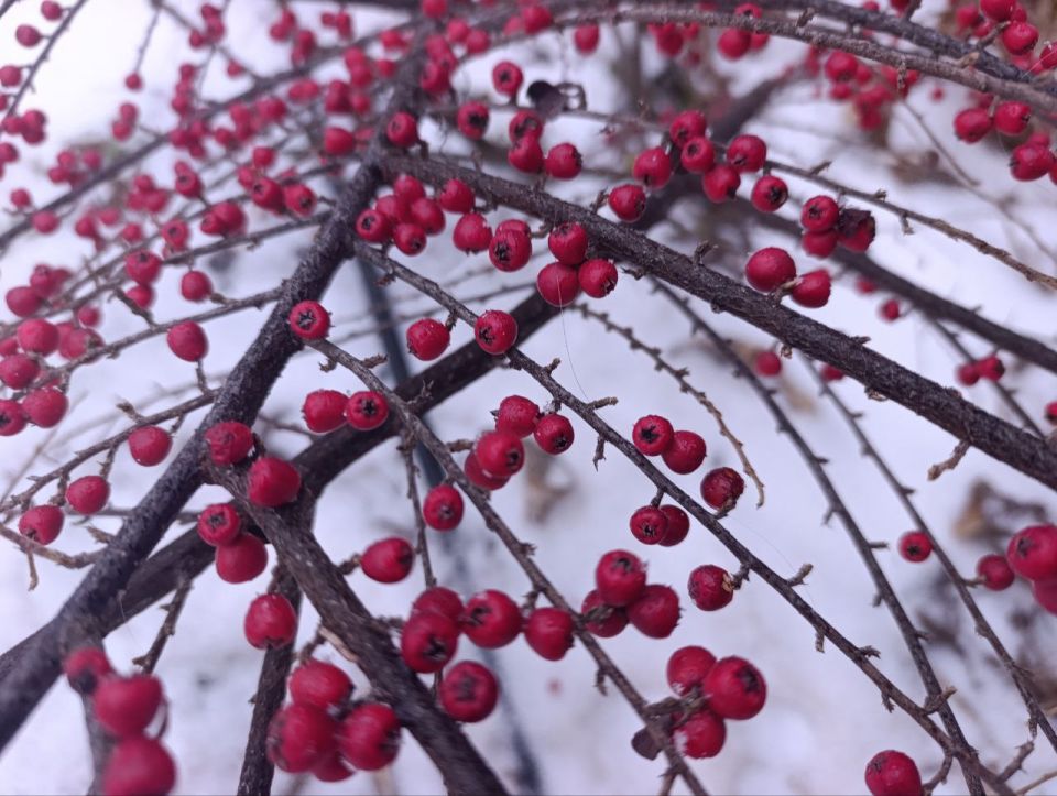 Доброе утро, жители и гости Генического округа! Доброе утро, жители и гости Генического округа!
