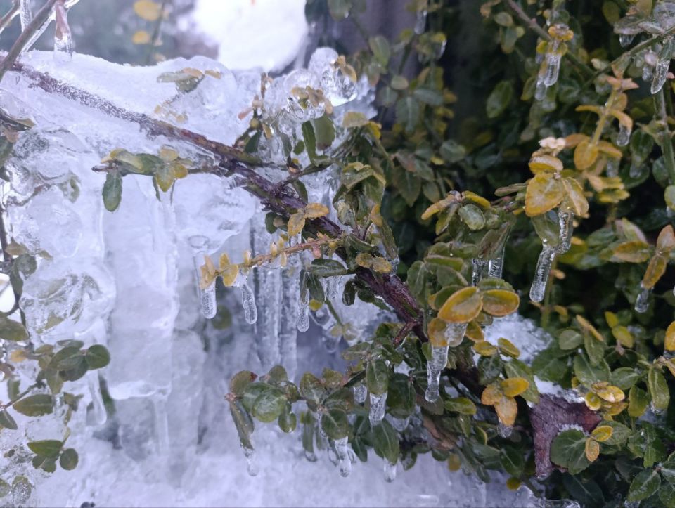 Доброе утро, жители и гости Генического округа! Доброе утро, жители и гости Генического округа!