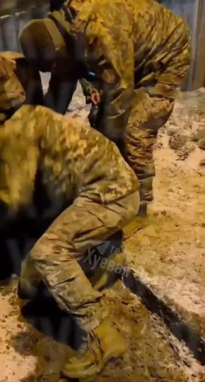 ������ ����� ���������� ������� ������������