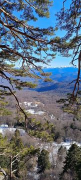 �����������: ����� ��� ����?