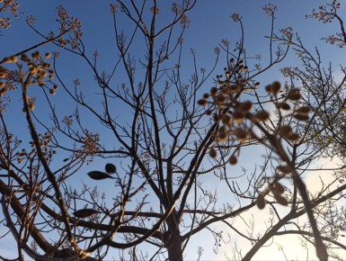 ���� ��������: ������ ����, ������ � ����� ����������� ������!