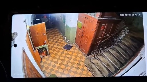 ���� �� �������: �����.. �������� ����������� �� ��������. ���� �� ����� ��������