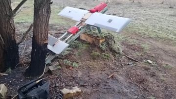 ���������� ����������� ������, ��������� ������������ �������-2�, ������� ������������� ���������� � �������������� ����� ���������� �� �������� ������ ����