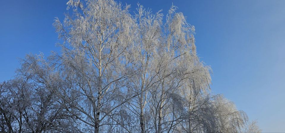 Доброго утра воскресенья, друзья! Доброго утра воскресенья, друзья!