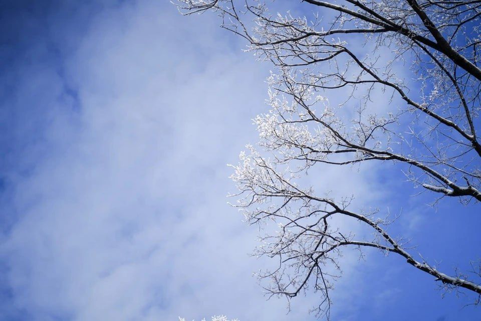 � ���������� ������� ��������� ������, ���������� � �������� ����� 9 �������