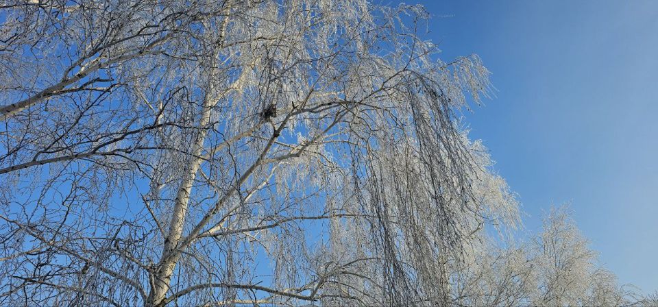 Доброго утра воскресенья, друзья! Доброго утра воскресенья, друзья!