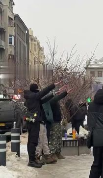 ���� �� �������: � �������� ������� � �������� ���������� ���� � ������������ �����������