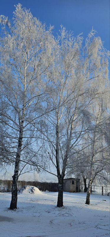 Доброго утра воскресенья, друзья!