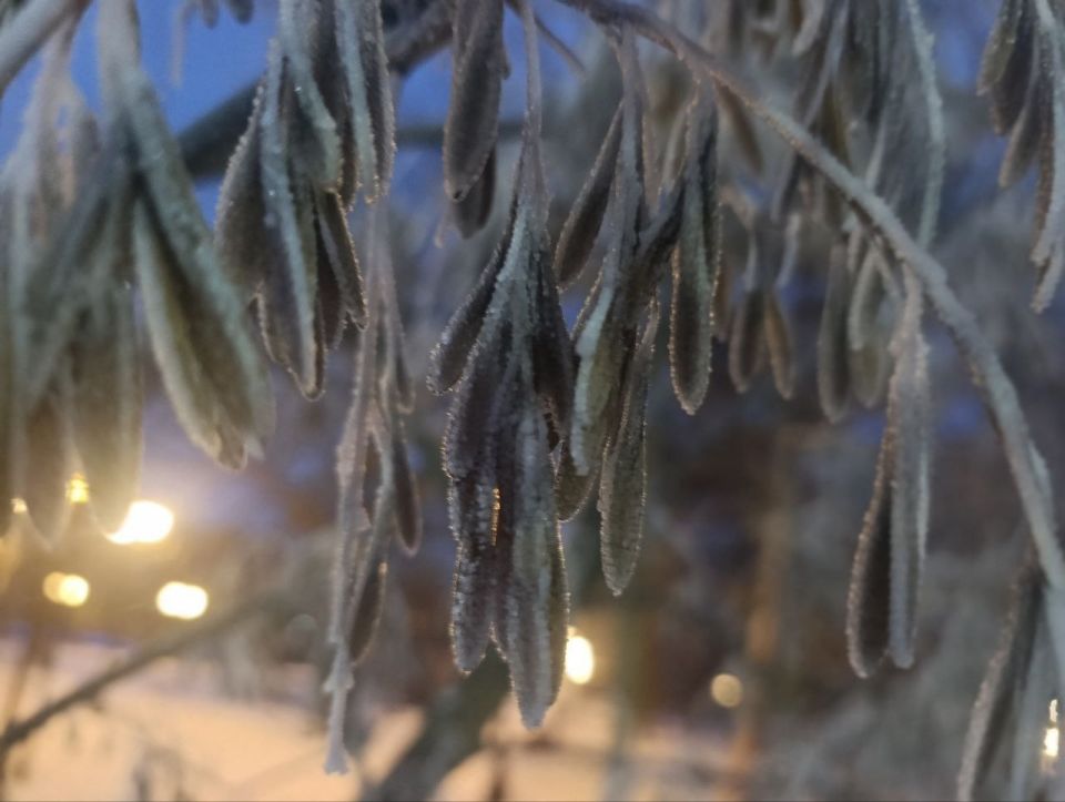 Юлия Семякина: Доброе утро, жители и гости Генического округа!