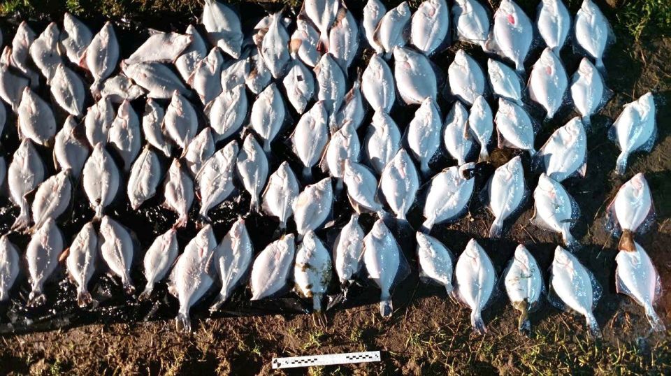 ������������ ����������� ������� ��������� ���������� � ��������� ������