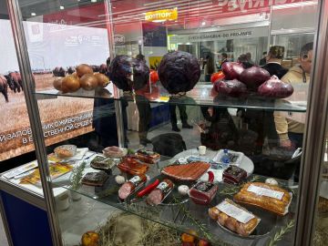 ���������� ������� ������� � ������������� �������� ����������-2026�, ��� ����������� ������� ����������� ����� �������������������� ���������