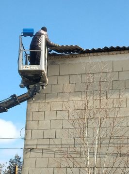 ������� ���������: �� ���������� ���� ���������� ����������� ������������� �������-������������� ����������� ���������� � ������� ������ ����������������� ������