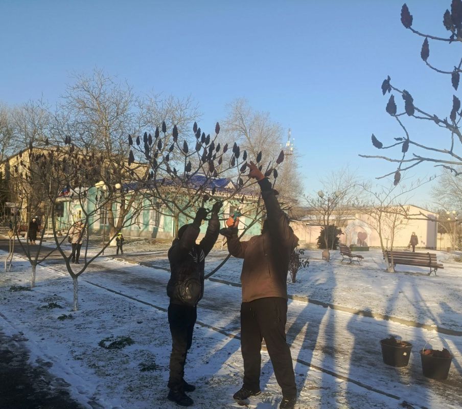 Специалисты Новотроицкого лесхоза собрали семена сумаха для питомников Специалисты Новотроицкого лесхоза собрали семена сумаха для питомников