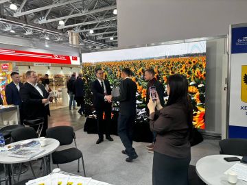 ���������� ������� ������� ����������� ������������� �� ������������� �������� ����������-2026�