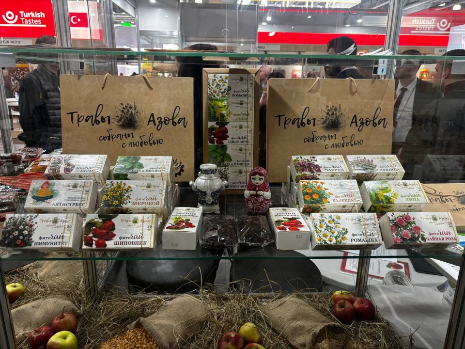 ���������-2026: ��������� ���������� �������������� ������������ �� ���������� ����������������� ��������