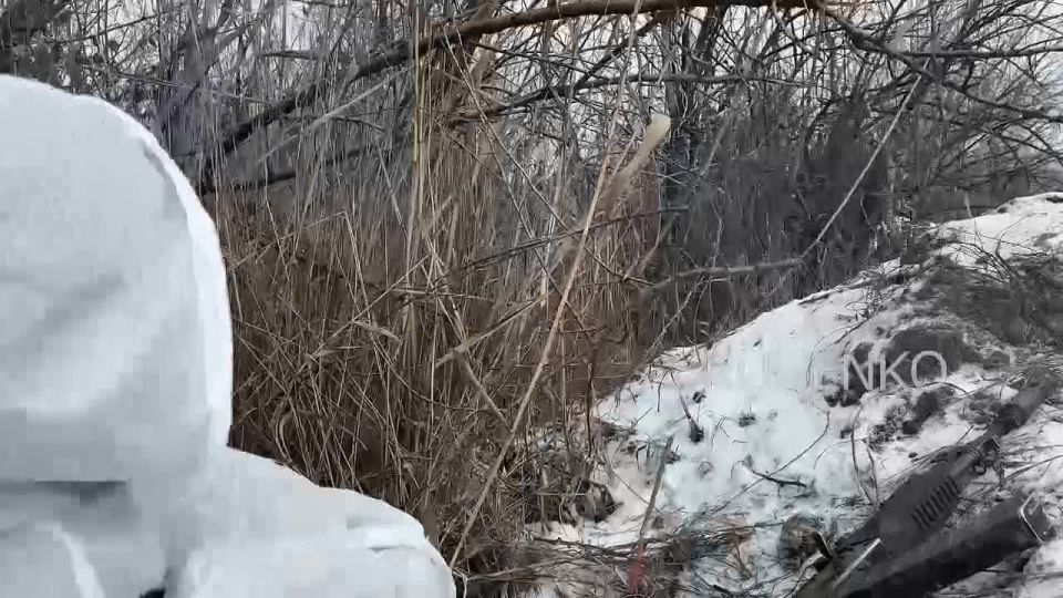 ������ �������: ������������� �������� ����������� ����� ������ � ������� ������ ��� �������������� �������� � ������� ����� � ��������� ���� ������ ������ � ���������� �������