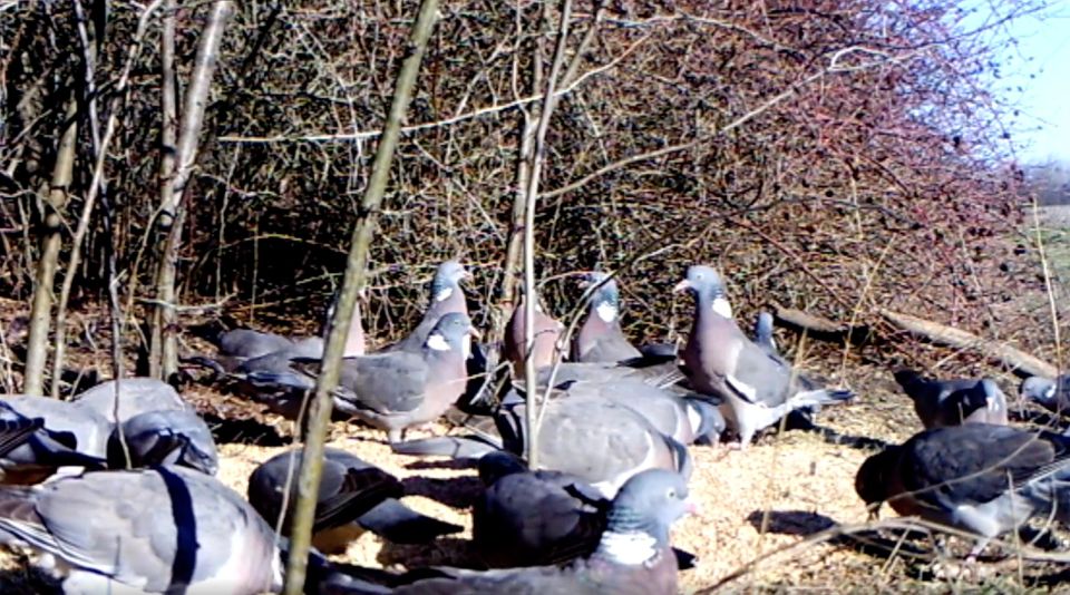 ����� ����� ���� � �����: ��� � ���������� ������� ������������� ����������