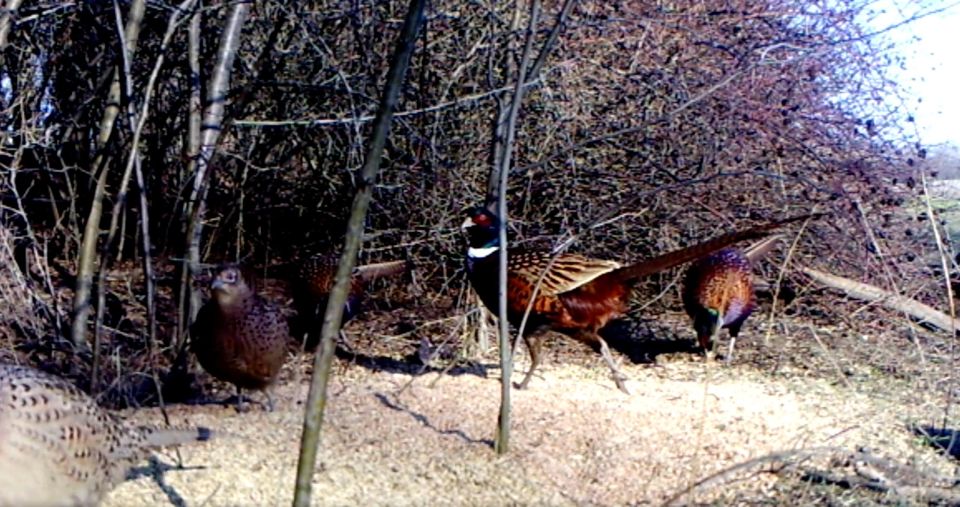 ����� ����� ���� � �����: ��� � ���������� ������� ������������� ����������