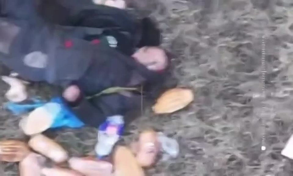 ��� ������� ������������� �� ������������ ����, ������������� �������� ������� � ����������� ������� ������ ����� �������� ���������� �������, �������� ����� �� �����