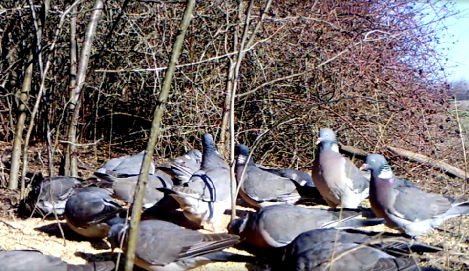 ����� ����� ���� � �����: ��� � ���������� ������� ������������� ����������