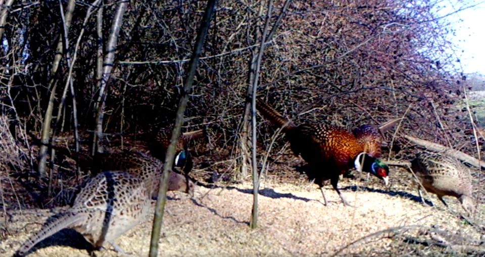 ����� ����� ���� � �����: ��� � ���������� ������� ������������� ����������