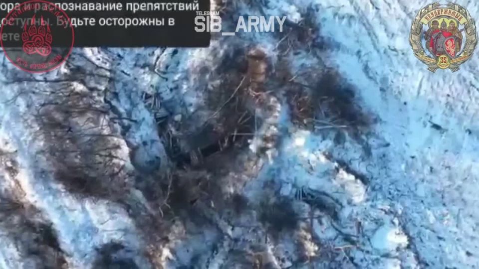 ����� ������ ���������� FPV-������ �� ������ � �������� ���