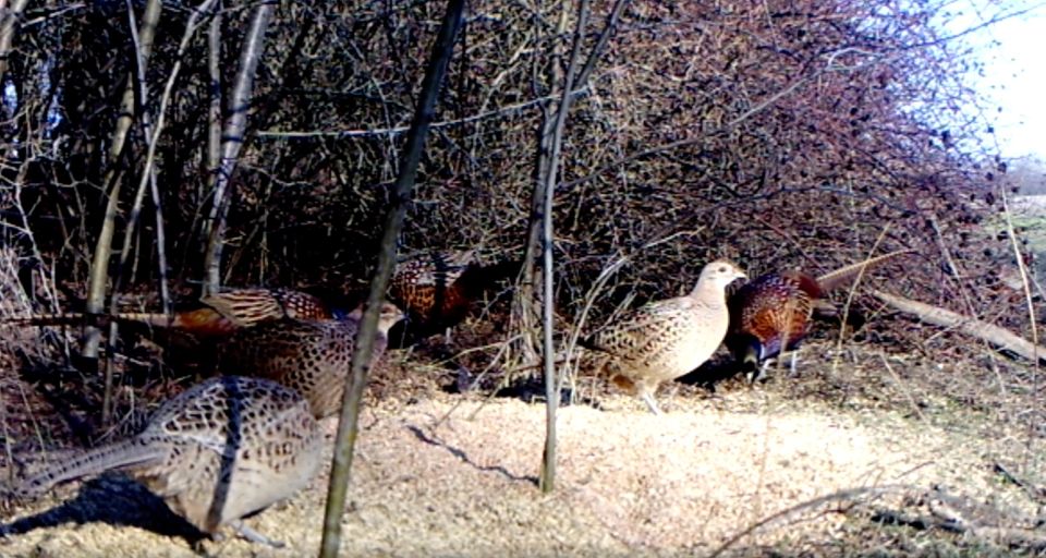 ����� ����� ���� � �����: ��� � ���������� ������� ������������� ����������