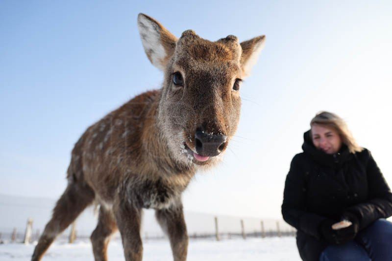 ���� � ��������-����: ����� ������ ������� ������� �����