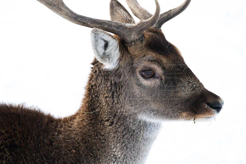 ���� � ��������-����: ����� ������ ������� ������� �����