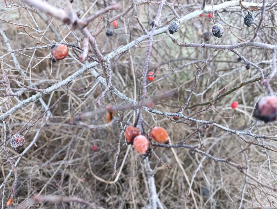 ������ ����, ������ ���������� ������!