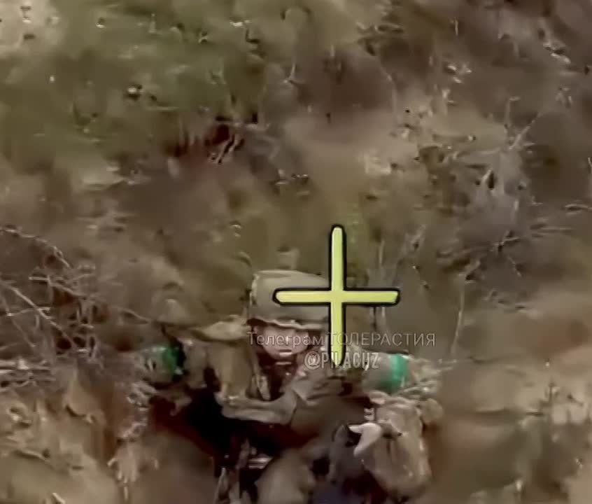 ��������� �������: ����������� ����� ����������� ��������������� ����� � xox�� � ���