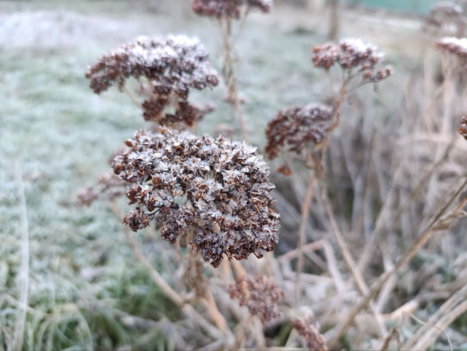 ������ ����, ������ ���������� ������!