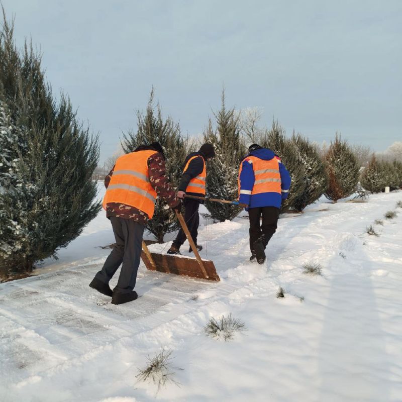 ��� ����������� ����� ������ ������� ������ ������ ��������