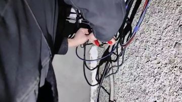 ������� ������������ �� ���������-�������� ������������ ������� ����������� ������