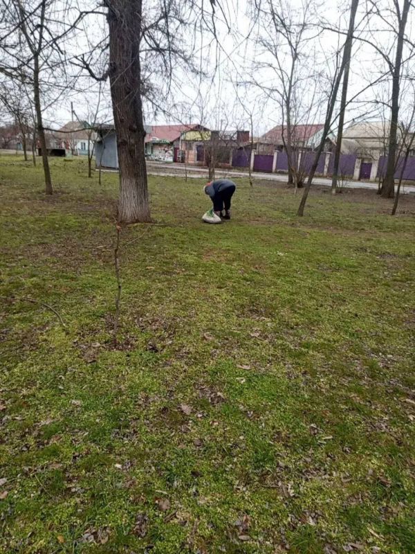 ������� � ����� ����������: ������������ ������ ��������� ������ �������