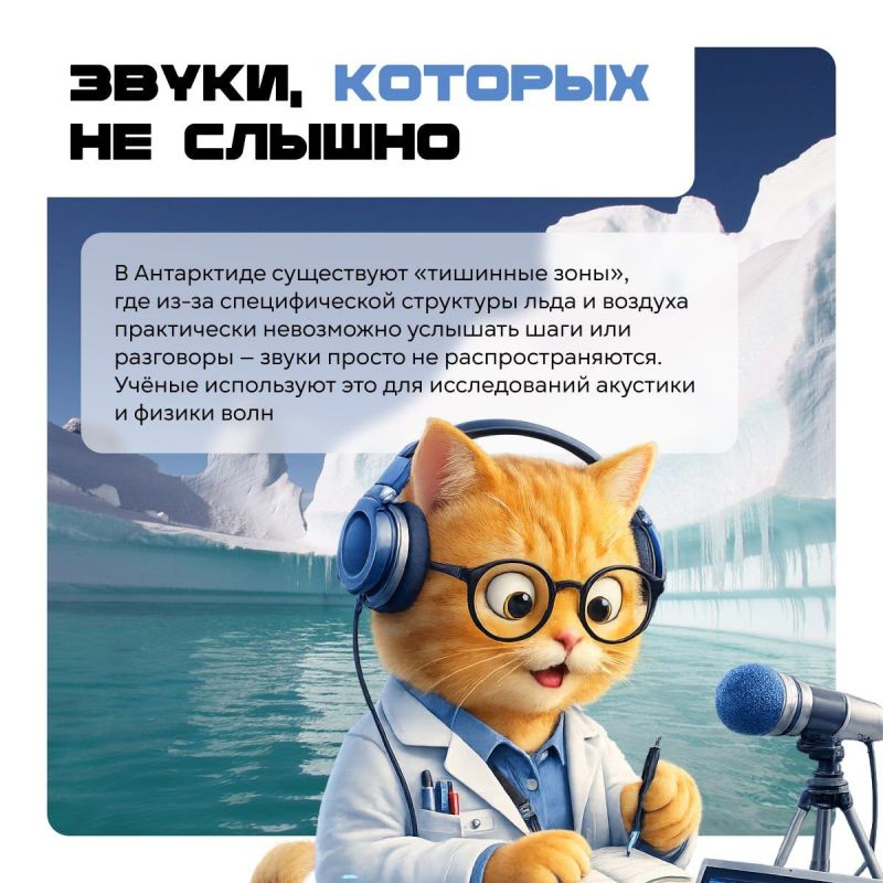 ������ ���������� �������� ������� ����� ����������