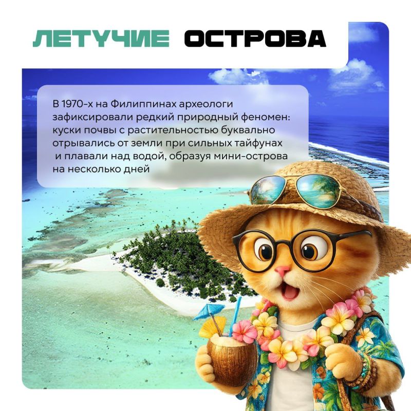 ������ ���������� �������� ������� ����� ����������