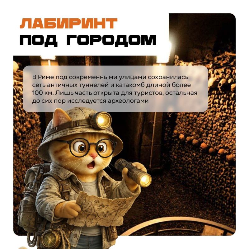 ������ ���������� �������� ������� ����� ����������