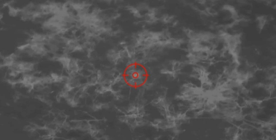 ���, ������ "�������" � ������ �� ����� �� �����