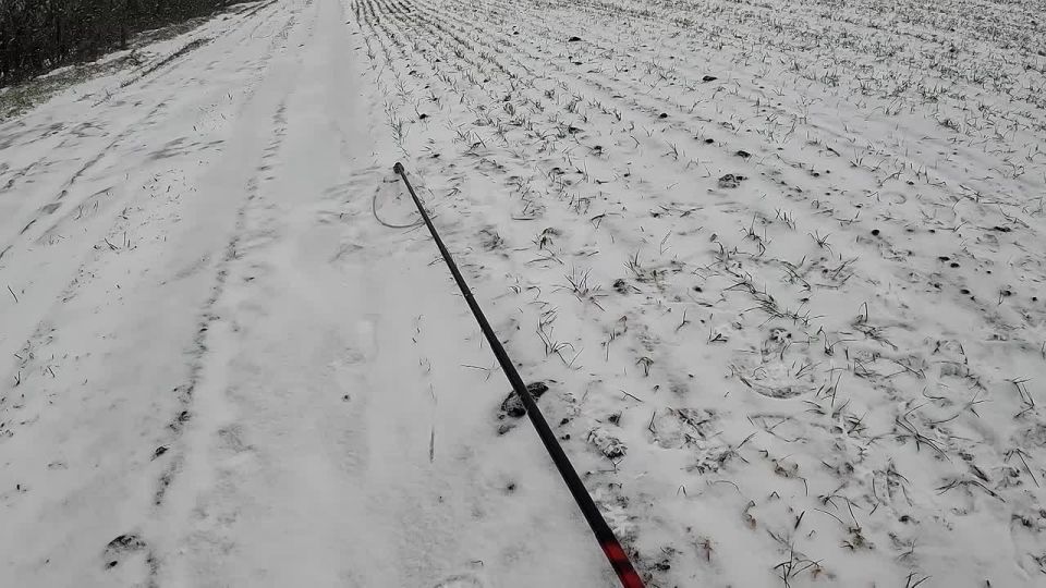 ���� �� �������: ���������-�������� ������������� �������������� ����������� ��������� ����� ������ � ����������� ������ �� �������������� ������������� ���������� � ����������� �������