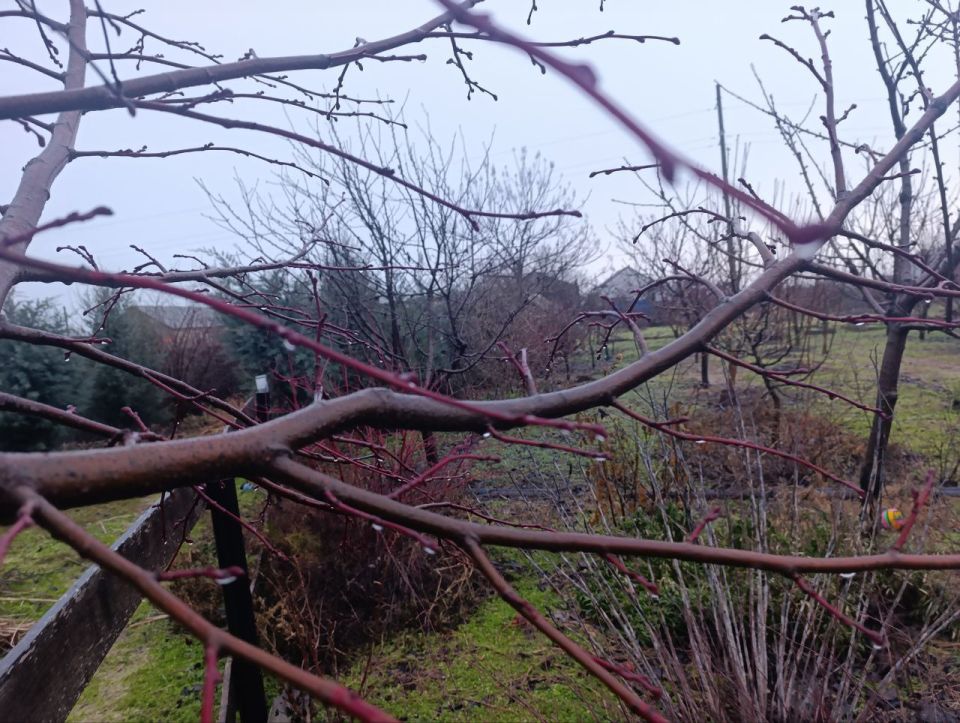 ���� ��������: ������ ����, ������ � ����� ����������� �������������� ������!