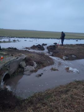 ���� ��������: ����������� ������������ �� ����������� � ���� ��������