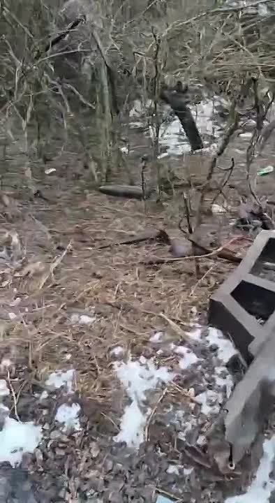 ������������ ��������������� ����� � ��������� � �������� �������� ������