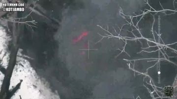 ������ ���������� ������ 144 ��� �� ����������� ������� � ������������, ���������, ������� � ������� ������� ��� �� ���������� �����������