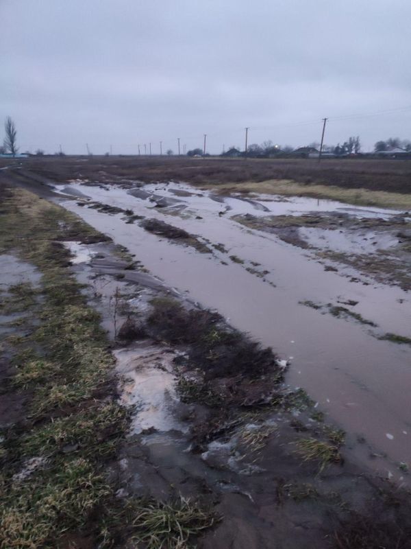 ����������� ������������ �� ����������� � ���� ��������