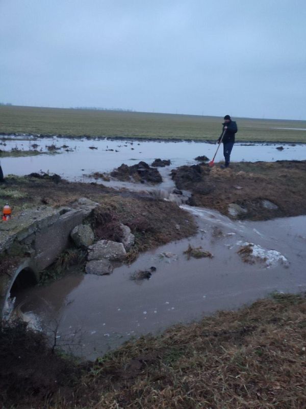 ����������� ������������ �� ����������� � ���� ��������