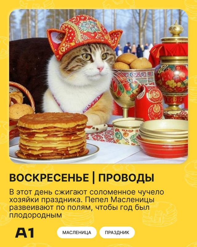 ��������� ������� �������� ������� ���������! ����������� ������!