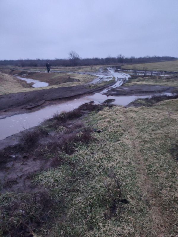 ����������� ������������ �� ����������� � ���� ��������