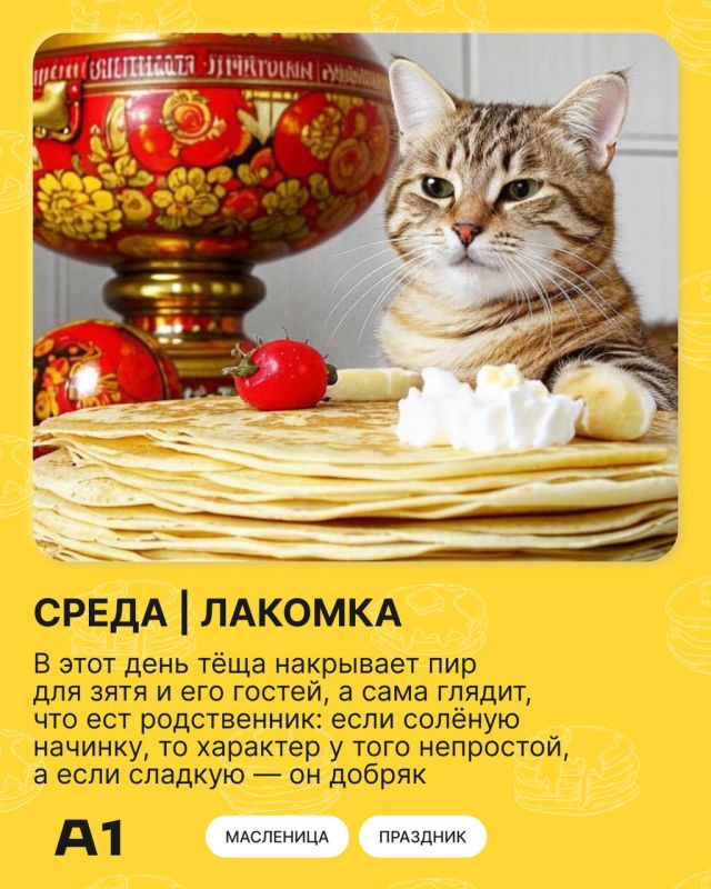 ��������� ������� �������� ������� ���������! ����������� ������!