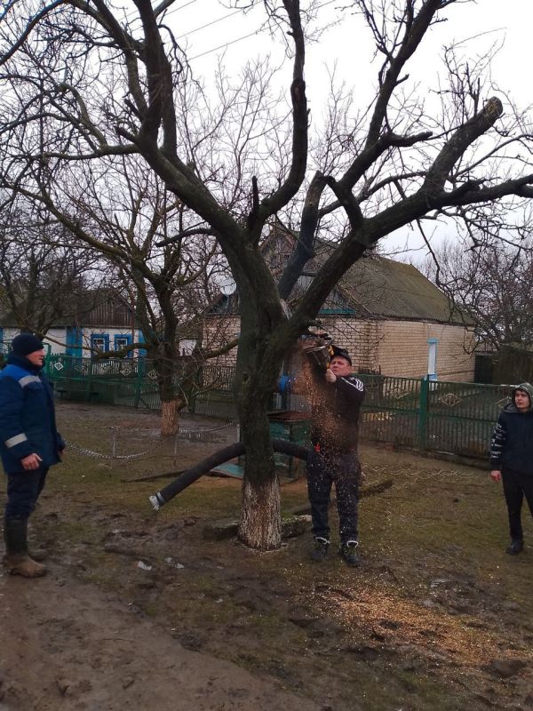 ������� �������: ��������� ����� ���� � ���� ���� ������������� ������� ���������� �����������, ����������� �������, ����������� � �������, ������ ������������ ���� � ����� ������� ����� �������� � ����� ������� ��...